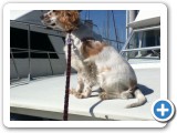 Nautical Arrow aboard his 38' Chris Craft Commander (our liveaboard)